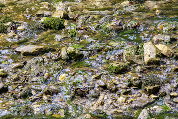 mountain river with moss
