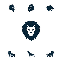 Collection of 7 lion filled icons