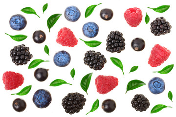 blackberry blueberry raspberry black currant isolated on white background. Top view. Flat lay...