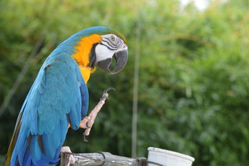 Tanganyika 0085