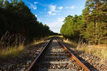 Ancient Train Tracks leading throgh a sunny Wood in Evening Light