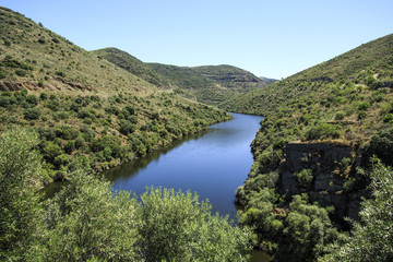 Fototapeta premium Douro Valley – Tributary Coa River