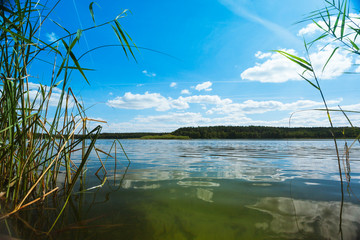 Beautiful View of a Lake in the Federal State of Brandenburg in Germany on a perfect Summer Day