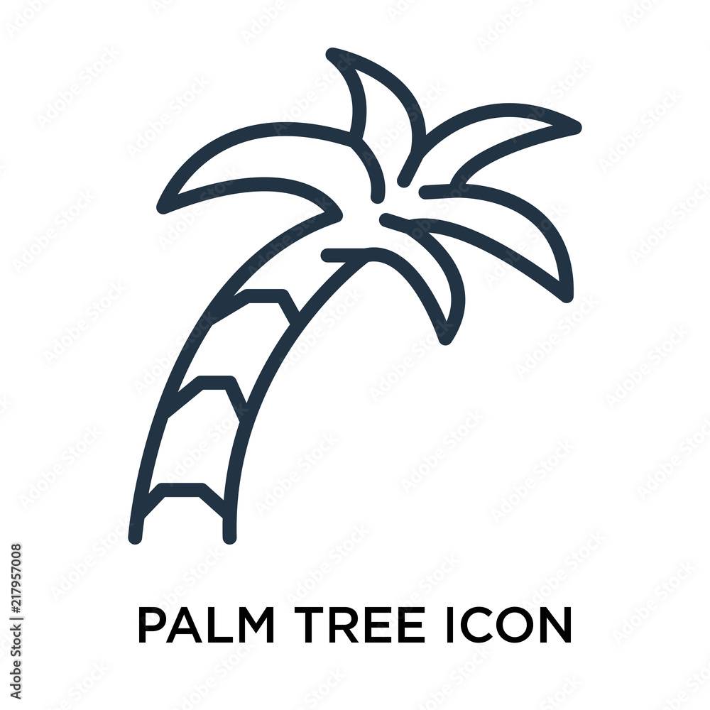 Poster palm tree icons isolated on white background. modern and editable palm tree icon. simple icon vector