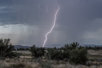 Lightning bolts from monsoon storms in northern Arizona