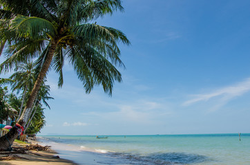 Naklejka na ściany i meble Beautiful beach frontage with coconut trees and sunshine line.