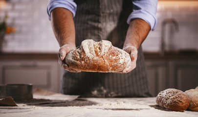 hands of baker's male knead dough - obrazy, fototapety, plakaty