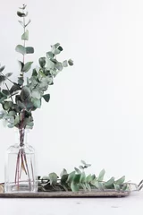 Inneneinrichtungsdetails des weißen Raums mit Grün des Eukalyptus © neirfy