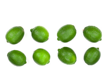 sliced lime isolated on white background with copy space for your text. Top view. Set or collection