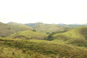 Naklejka premium Nature