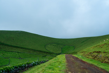 Fototapeta na wymiar A road to a mount with green fields and some rock pattern in Corvo island in Azores