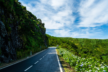 A road in the middle of some green fields with blue sky and some clouds in Flores Island in Azores