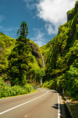 A waterfall and some trees near a road in Flores Island Azores