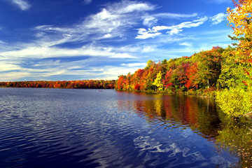 Colorful fall foliage surrounds a lake in the Poconos of Pennsylvania. - Powered by Adobe