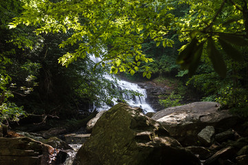 Beautiful high waterfall among the forest in summer. Waterfall and Botanical Preserve Pearson's Falls, Saluda, NC, USA