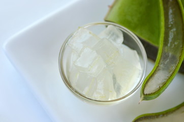 Fresh cut aloe vera plant leaves with clear diced gel  in a glass bowl. Cosmetic ingredient, food and health remedy.
