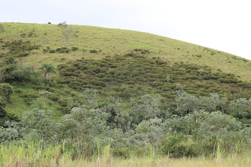 Obraz premium Nature