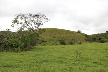 Obraz premium Nature of Brazil