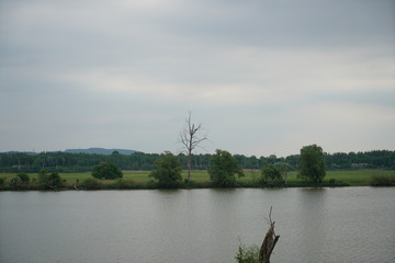 Backwater on the Danube in Germany are valuable nesting grounds for rare birds and fish Backwater, 
