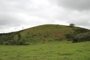 Obraz premium Nature