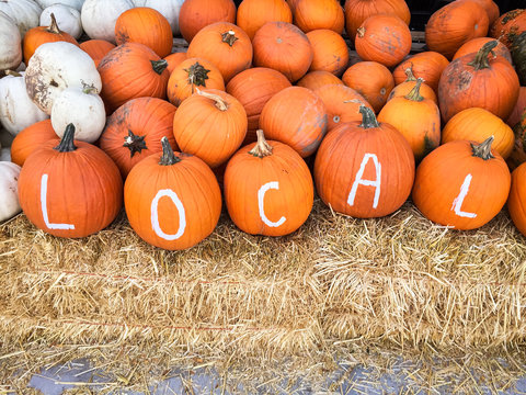 Halloween pumpkins painted with a reminder to "buy local."