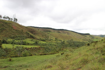 Fototapeta premium Nature