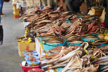 fresh fish at the market