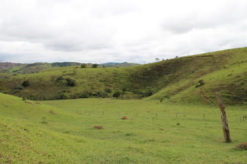 Obraz premium Nature