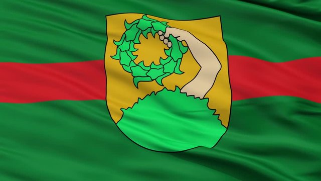 Talsi closeup flag, city of Latvia, realistic animation seamless loop - 10 seconds long