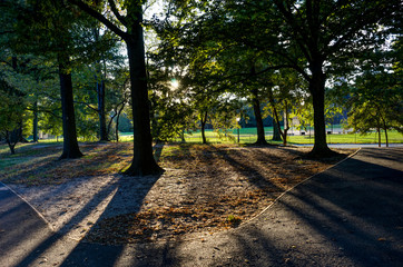New York Central Park Sunset blue Sky trees Manhatten