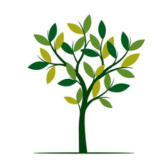 Green Spring Tree. Vector Illustration.