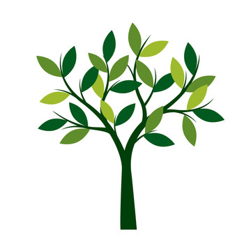 Green Spring Tree. Vector Illustration.