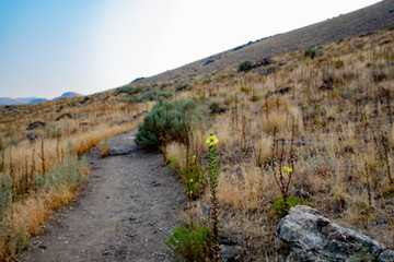 Antelope Island