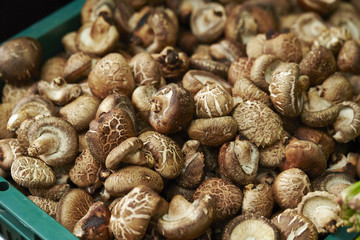Shiitake Mushrooms 