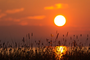 Bbeautiful Sunset over the See