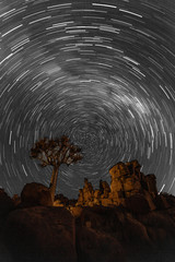 Star trails circle over quivertrees