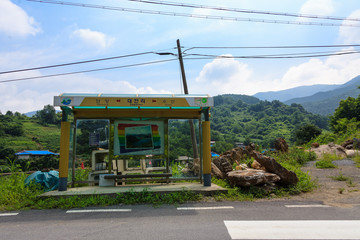 a rural summer scene