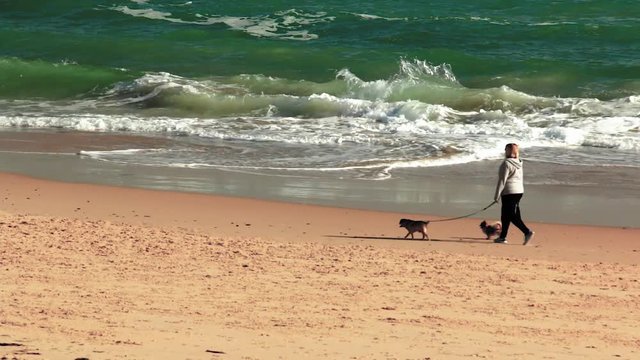 Unidentifiable lady walking dogs by herself along Christies Beach in Adelaide, South Australia.