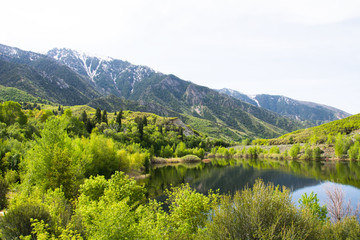 Lake in the mountains