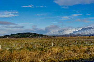 Winter in the mountains. Christmas landscape on a sunny morning.