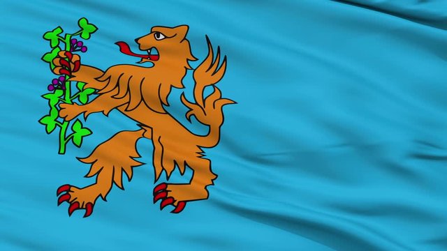 Brummen closeup flag, city of Netherlands, realistic animation seamless loop - 10 seconds long