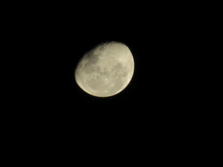 Obraz premium Lua Minguante