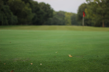 Obraz premium Evening Sumer Golf Green