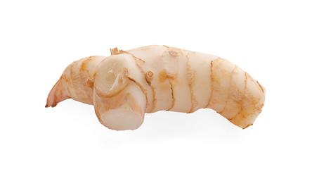 Fresh galangal isolated on white background.
