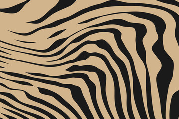 Close up Stripe Animal Pattern