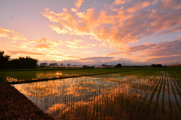 Sunset time’s sunset sky is reflected on the water surface 