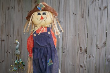 Obraz premium Smiling scarecrow standing in front of a wood fence.