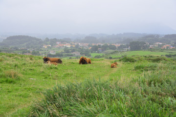 Asturias