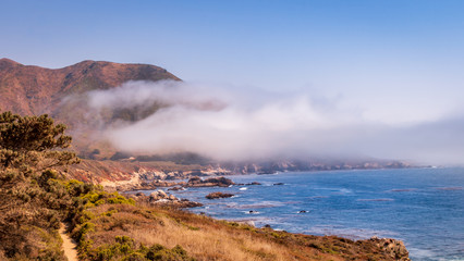 Fog blowing in from the Pacific Ocean onto the land. Waves are breaking on the shore in a large inlet lined with rocks. A grassy area with a tree is in the foreground. A mountain is in the background.