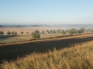 Fototapeta na wymiar czech countryside road in a morning mist